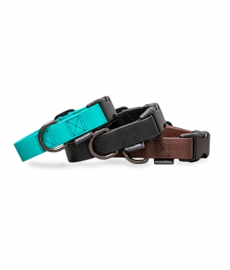 Verstellbares Hundehalsband aus Biothane in drei verschiedenen Farbe